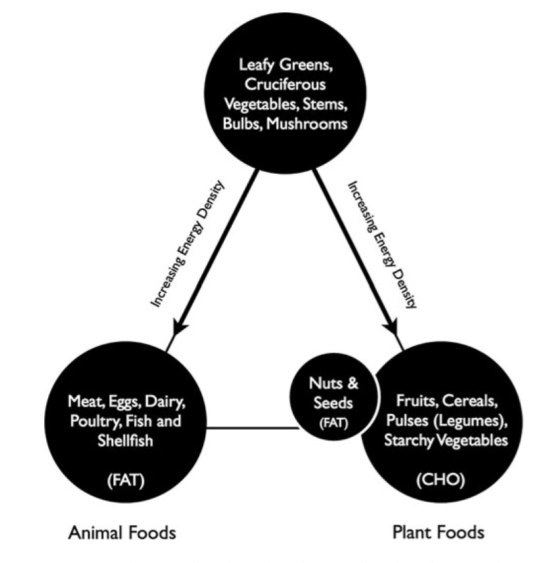 Screen Shot 2016-02-11 at 4.34.53 PM