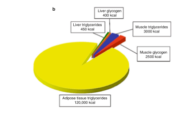Screen Shot 2016-02-19 at 6.48.42 AM