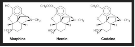 Screen Shot 2017-01-29 at 1.12.47 PM.png