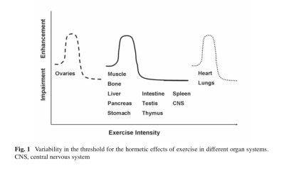 Screen Shot 2019-01-31 at 4.17.37 PM.png